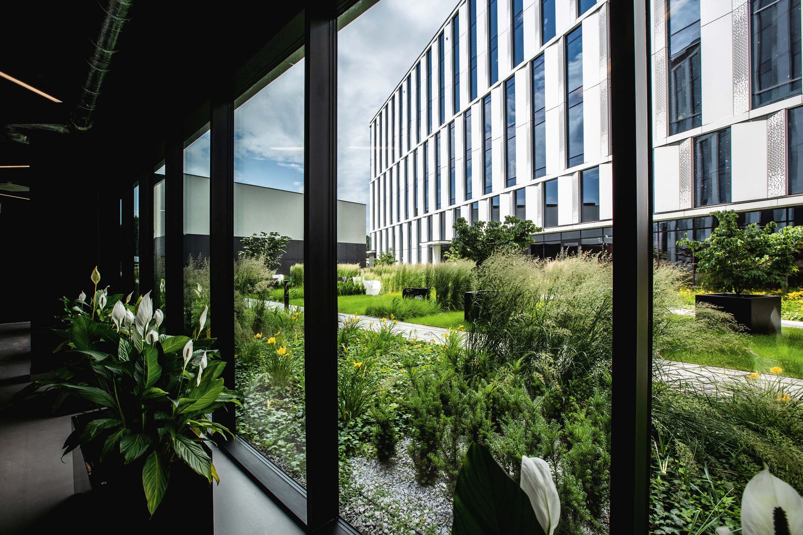 Kraków
